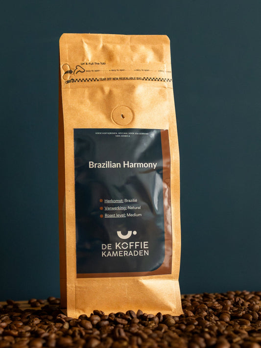 Brazilian Harmony