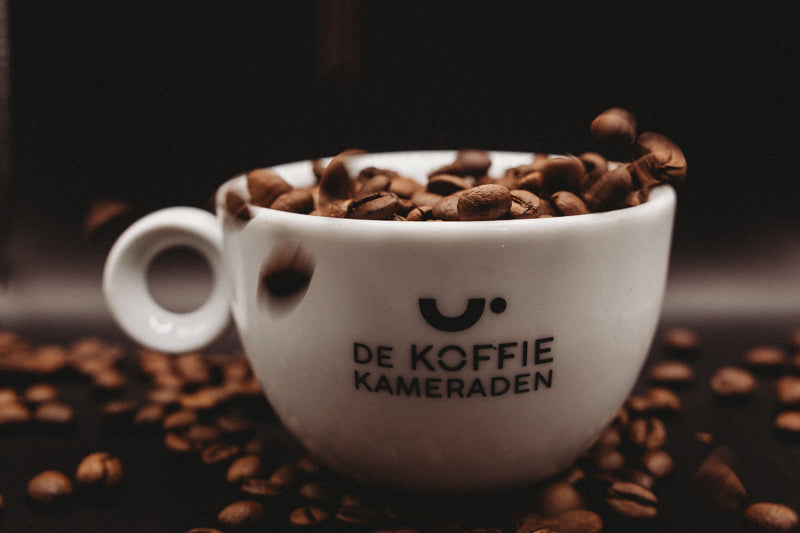 Nicaragua Single Origin